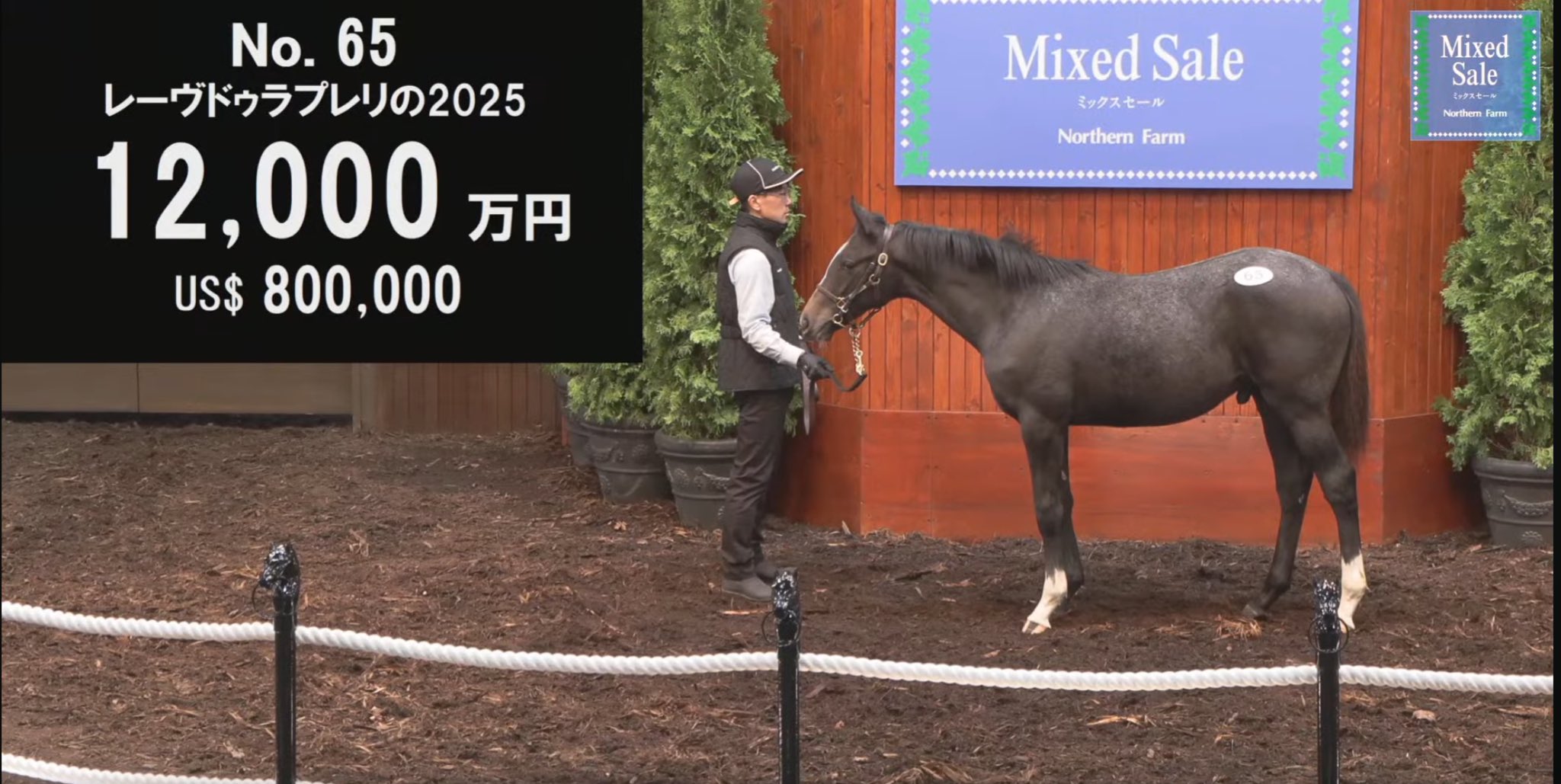 シップファン (@GOLDSHIP__) / X