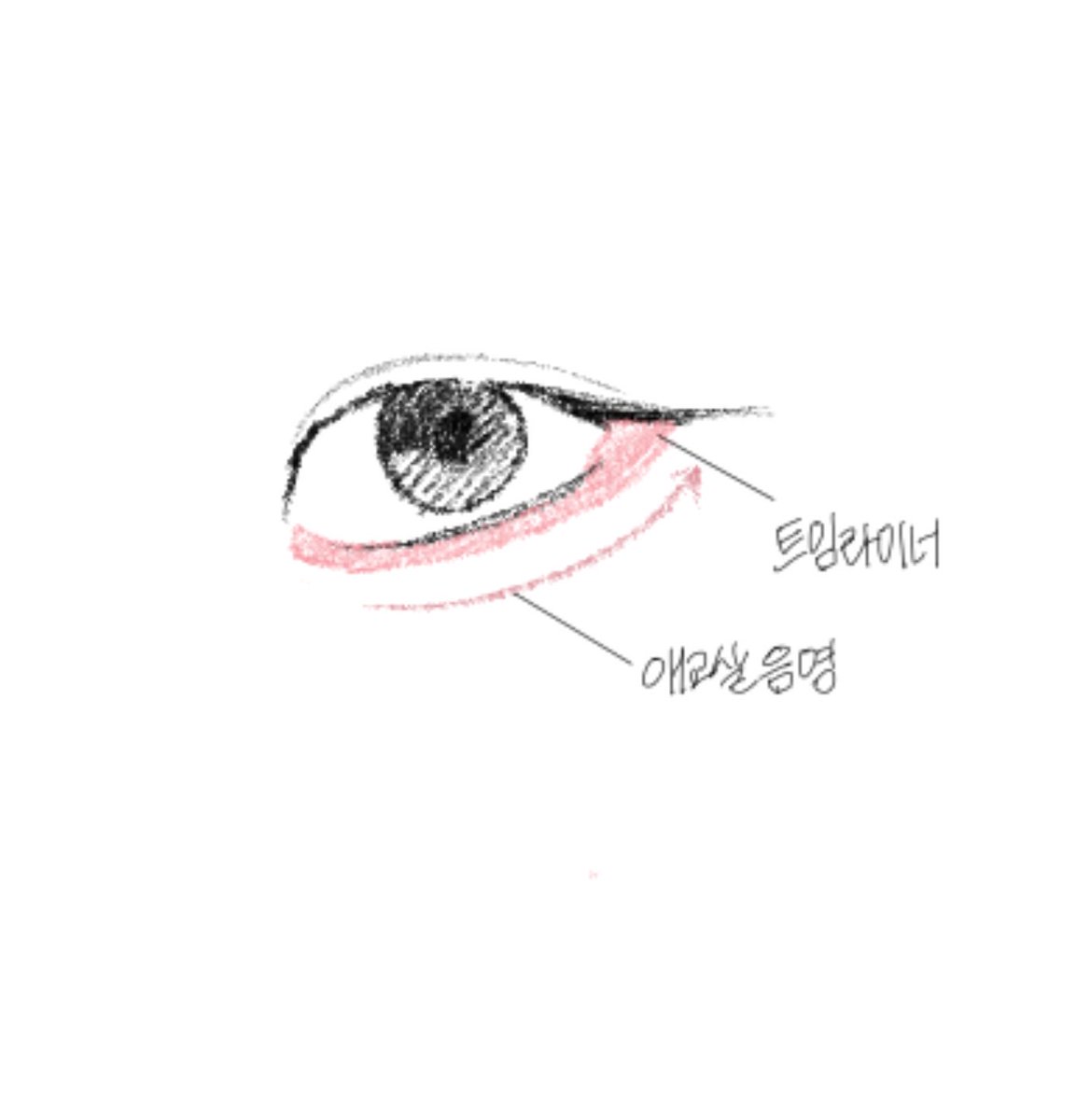 요즘 이렇게 눈 전체를 동글-하게 만드는 게 조음🫰