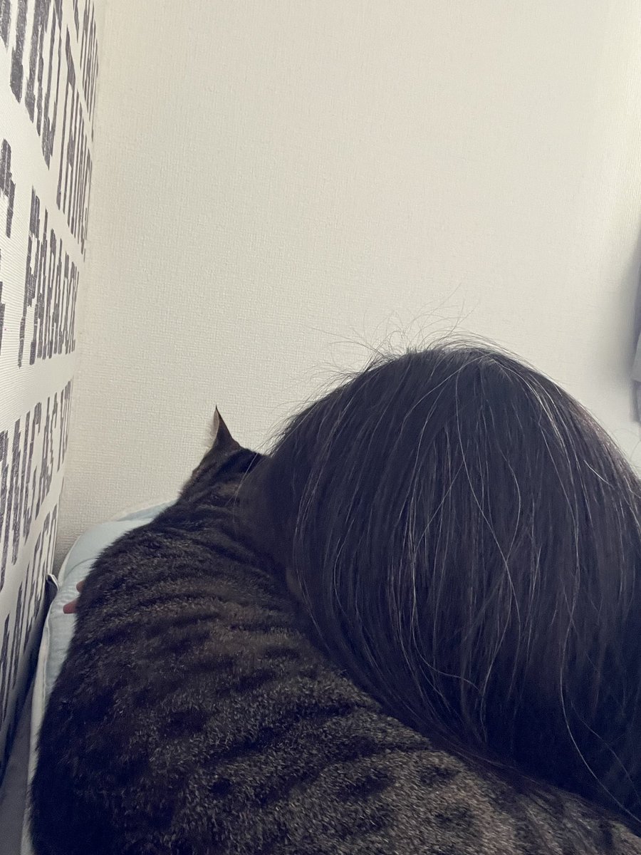 revive_al's tweet image. あぁキマるぜ...