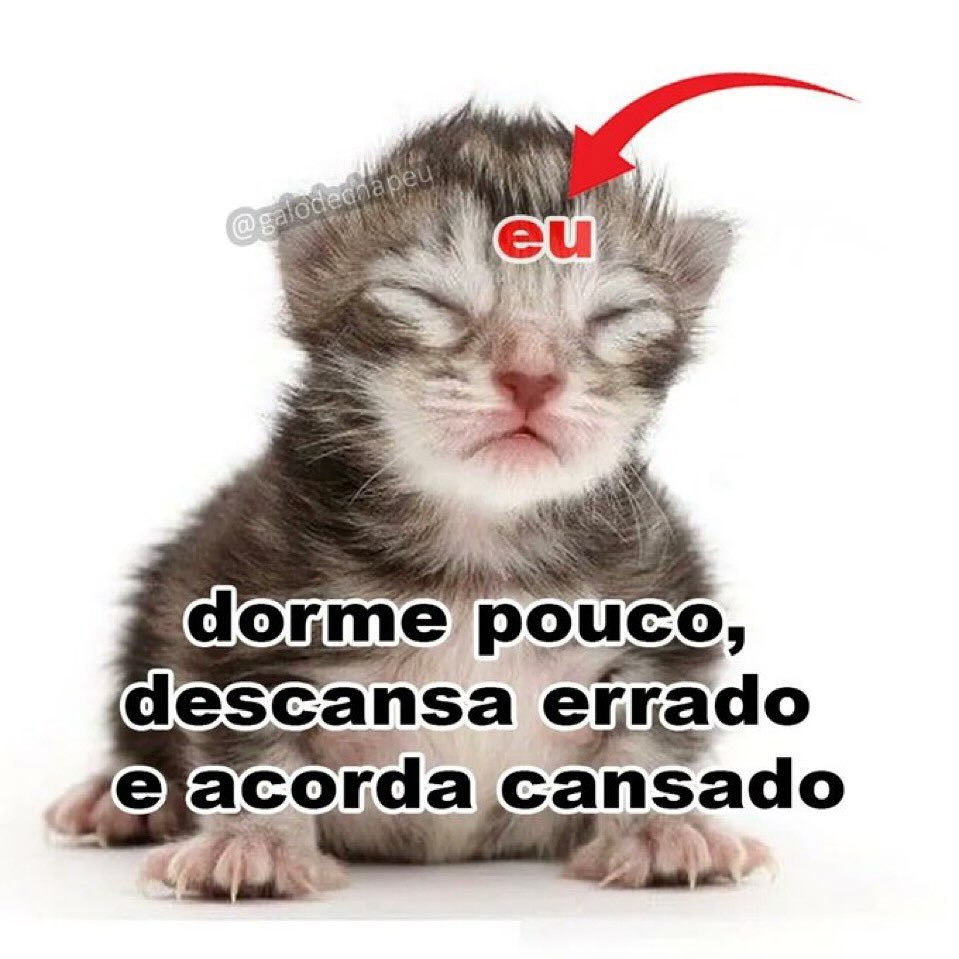 odeiootaco's tweet photo. https://t.co/ljEzvoNtlG