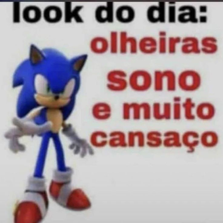 perfil dedicado a gatinhos e peitos tweet media