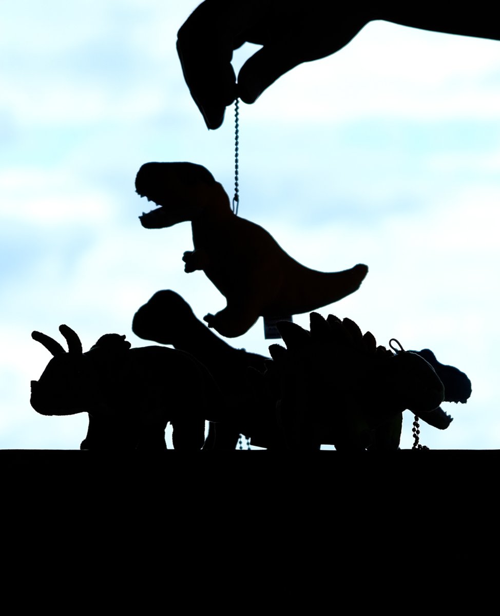 しんいちろー🦖サブアカ (@shin_ichiro2) / Posts / X