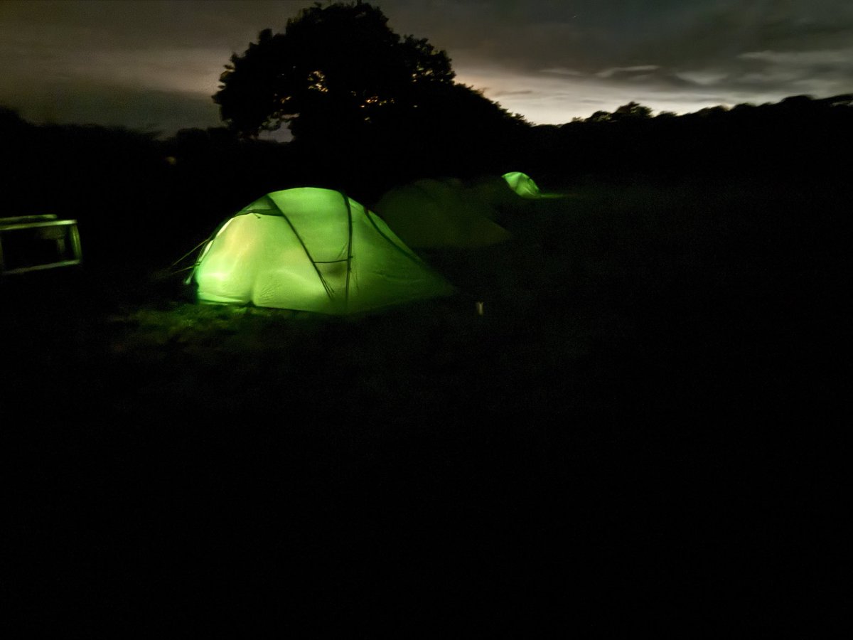 RGSG Activities tweet media