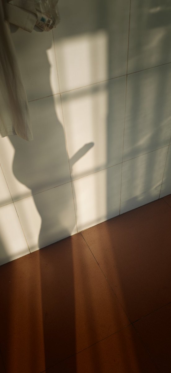 补发:早上好🥵