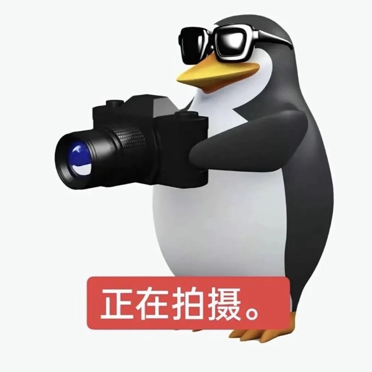 黄推福利内容 - 荔枝雾的精彩图片 福利姬荔枝雾分享的黄推图片1 - 网红私拍内容