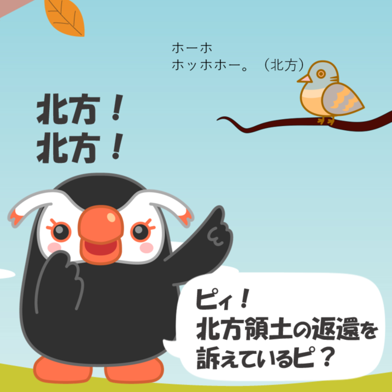 ピィ！

北方！
北方！
って、鳴いてるッピ！
北方領土の返還を訴えているピ？
#北方領土