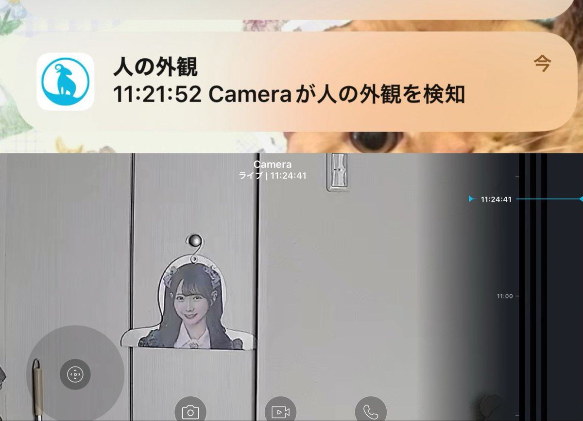 tomo051601's tweet image. 外出中にペットカメラから「人の外観を検知」って通知が来て、えっ⁈って思って確認したら…
#谷崎早耶 #さやうさのおと