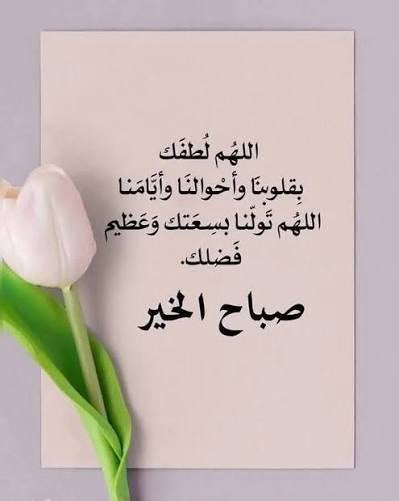 صباح الخير

واشرقت الأرض بنور ربها

اللهم في هذا الصباح اجعلنا أسعد خلقك واقرب

عبادك إليك .. اللهم أنعم علينا بعفوك وعافيتك🌻