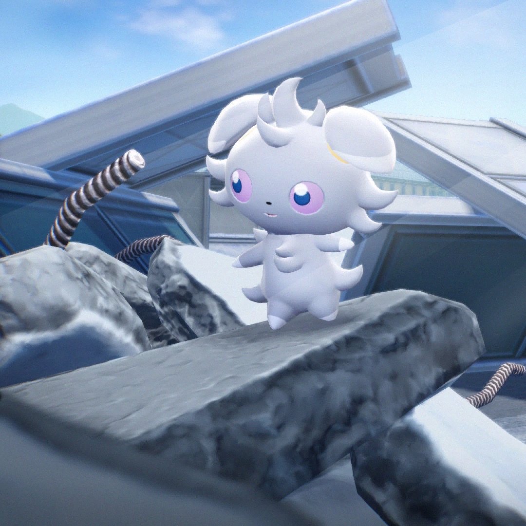 she is having fun ❤️ in rubble and debris ❤️