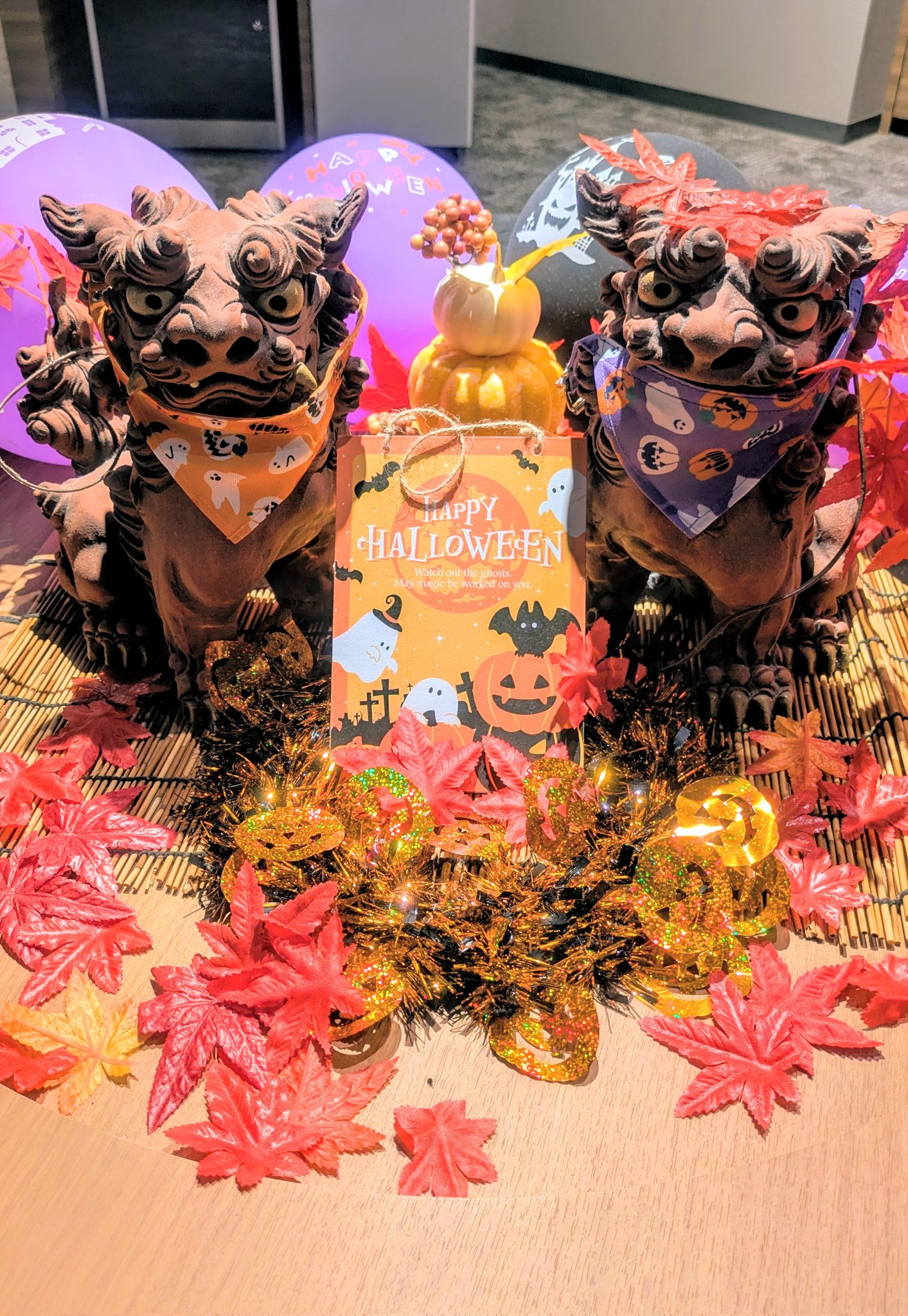 生豚肉寿司(FK7🔰) on X: 