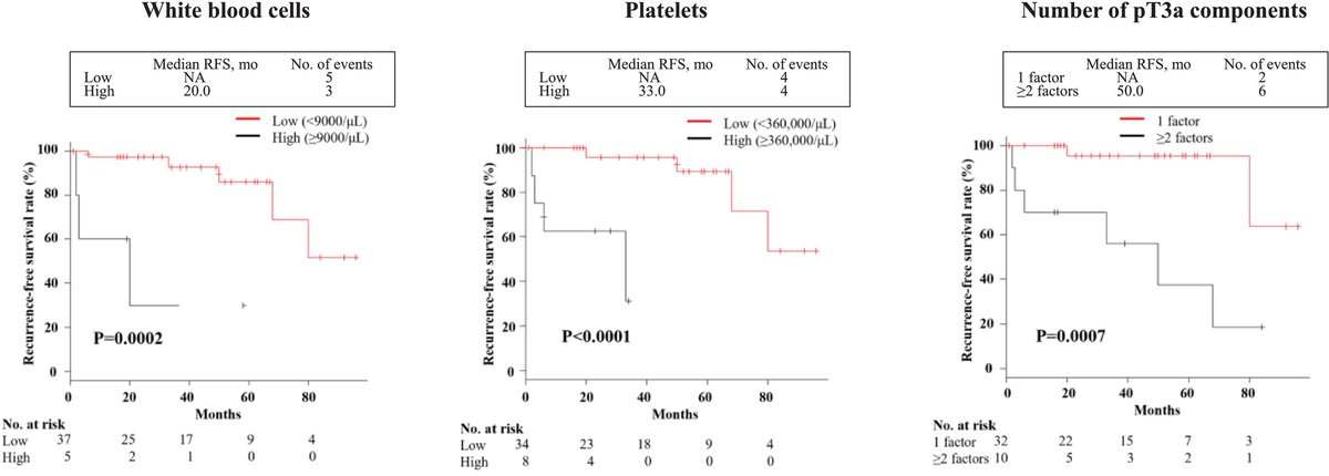 Wiley_CancerRep's tweet image. Uetani et al. retrospectively reviewed preoperative clinical &amp;amp; pathological data of patients who underwent radical or partial nephrectomy for clear cell renal cell carcinoma.
doi.org/10.1002/cnr2.7…
#CancerReports #Wiley #ClearCellRenalCellCarcinoma #InflammatoryMarkers