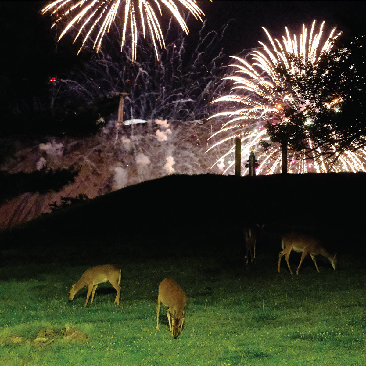 Rawest Album Covers tweet media