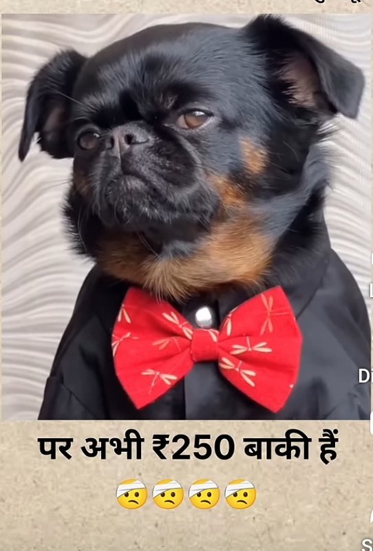 लाइब्रेरीयन ग्रेड 3 की 50% की पद वृद्धि की फ़ाइल (क्रमांक..202) वित्त में है।

वित्त मंत्री <a href="/KumariDiya/">Diya Kumari</a> जी से निवेदन जल्द से जल्द लाइब्रेरीयन ग्रेड 3 की पद वृद्धि की स्वीकृति दे ताकि युवाओ को उनका हक मिल सके।🙏🙏
<a href="/BhajanlalBjp/">Bhajanlal Sharma</a>
<a href="/madandilawar/">Madan Dilawar</a>
<a href="/RajCMO/">CMO Rajasthan</a>

#LIBRARIAN_पद_वृद्धि