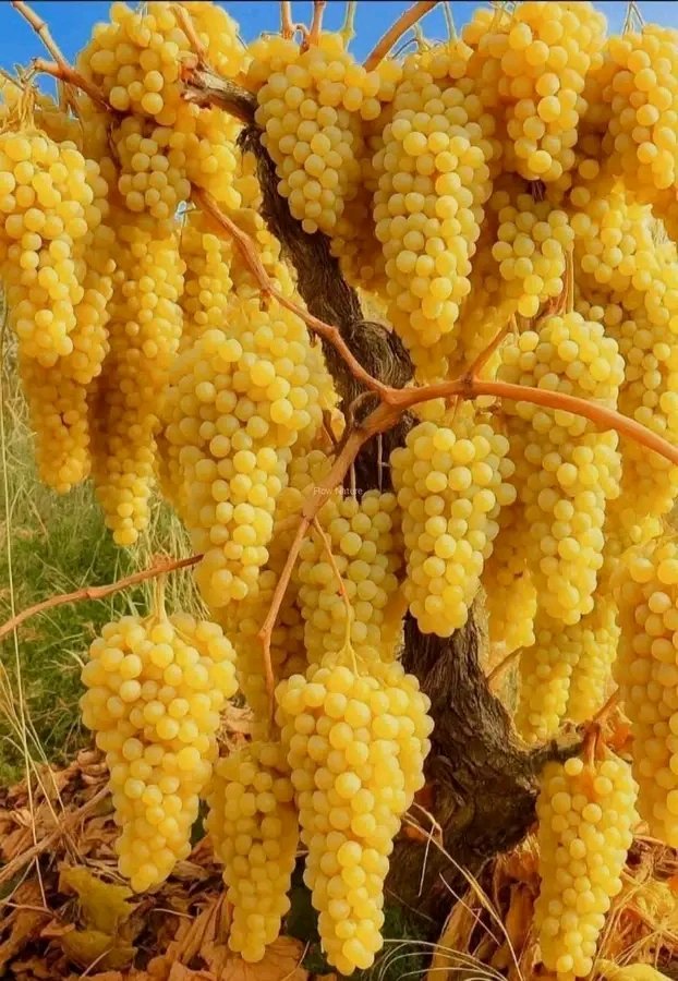 صباحكم أجمل بذكر الله والصلاة على رسول الله
🌷🌹🌷🌹🌷🌹🌷🌹🌷🌹🌷🌷🌹🌷