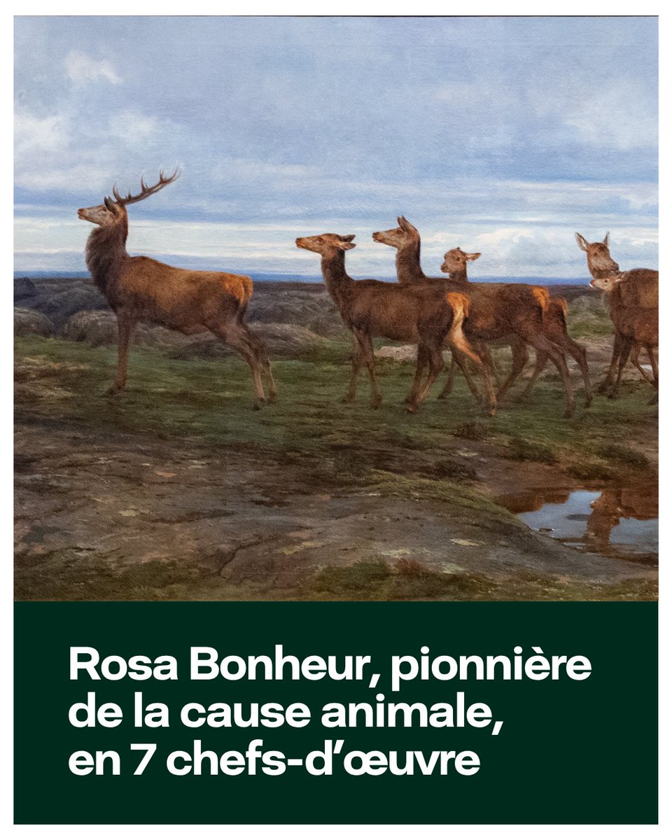 🐾 Rosa Bonheur était parmi les premières à s'engager pour la cause animale. Focus sur 7 chefs-d’œuvre incontournables ⏩ trib.al/gklKJfq
