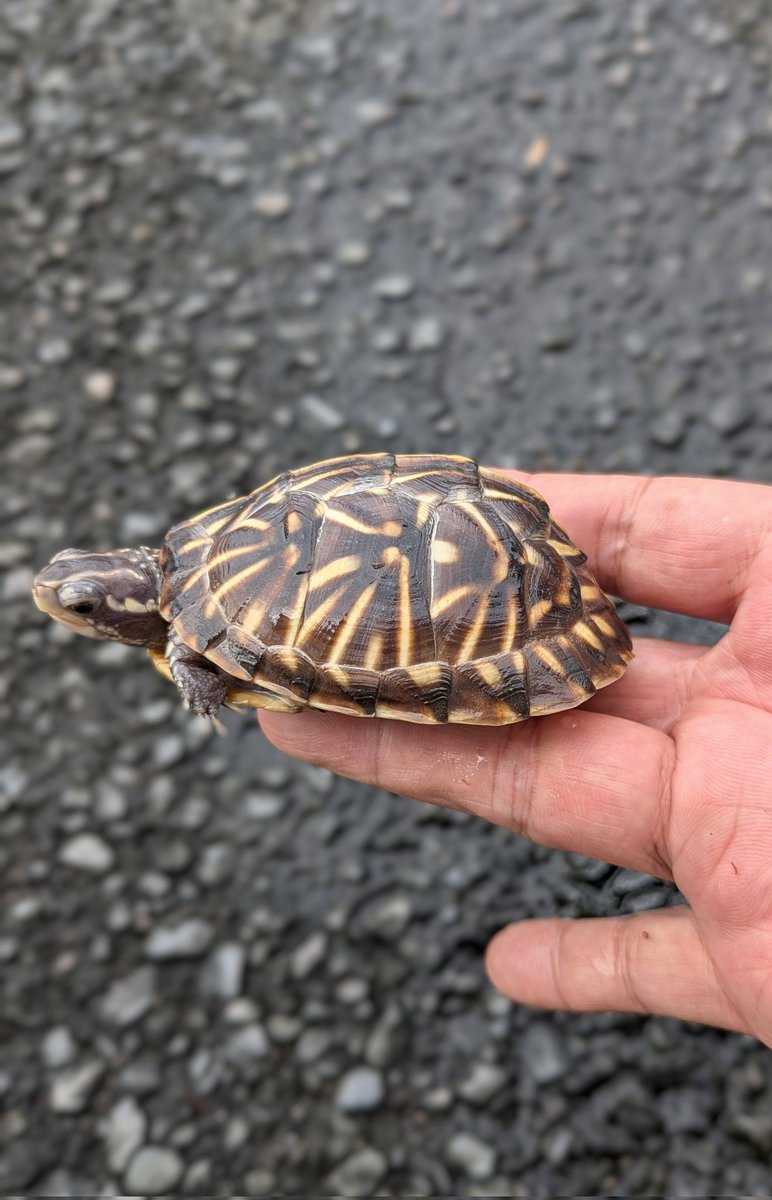 リオページ 59FIFTY Powered by GORO NAKATSUGAWA（MIN-NANO） ニューヨーク