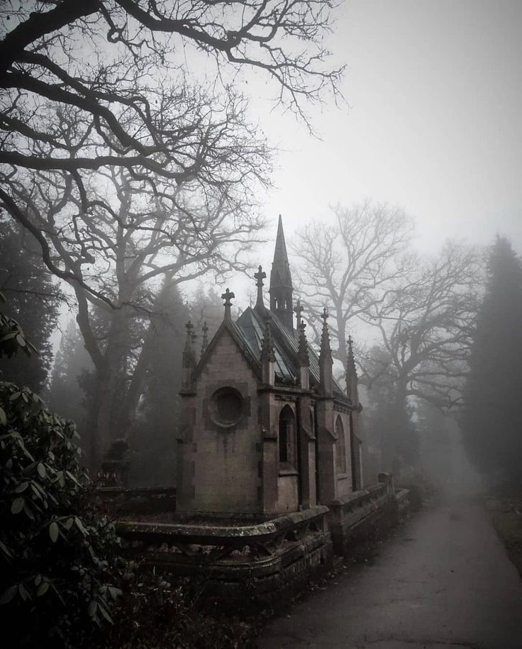 elemmiressoul's tweet image. 