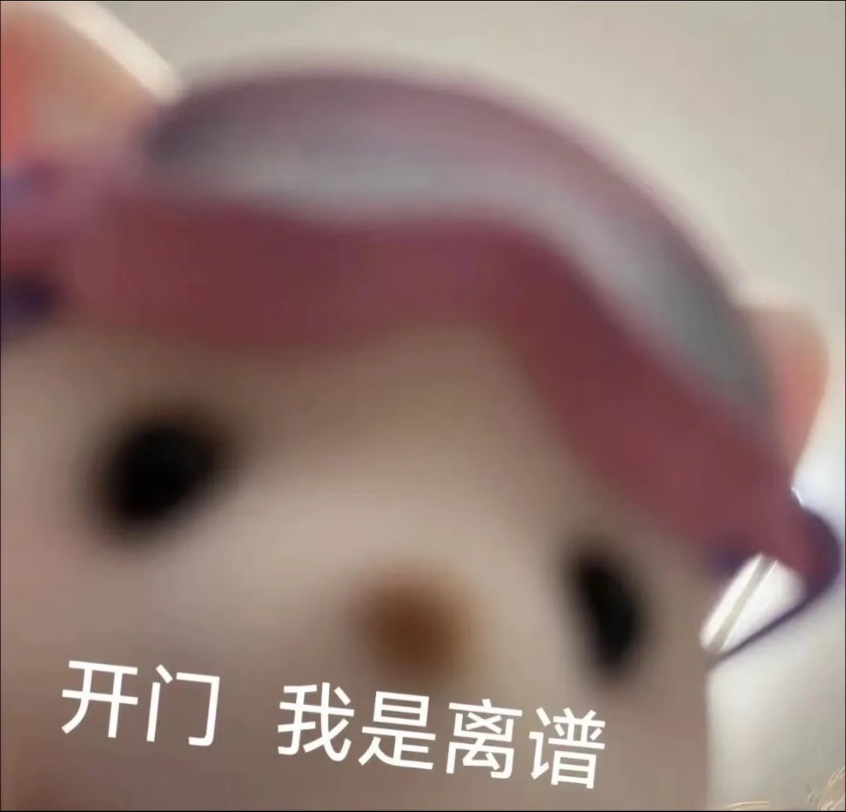 有时候觉得自己很像吸血鬼
对猎奇和血腥没什么感觉
但是一碰到阳光和治愈就要尖叫着噶掉了