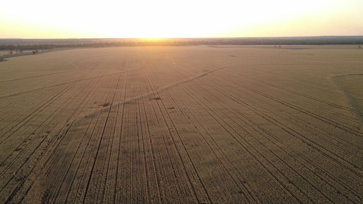 Getting a run at it now. Fingers crossed for a good run to the finnish.