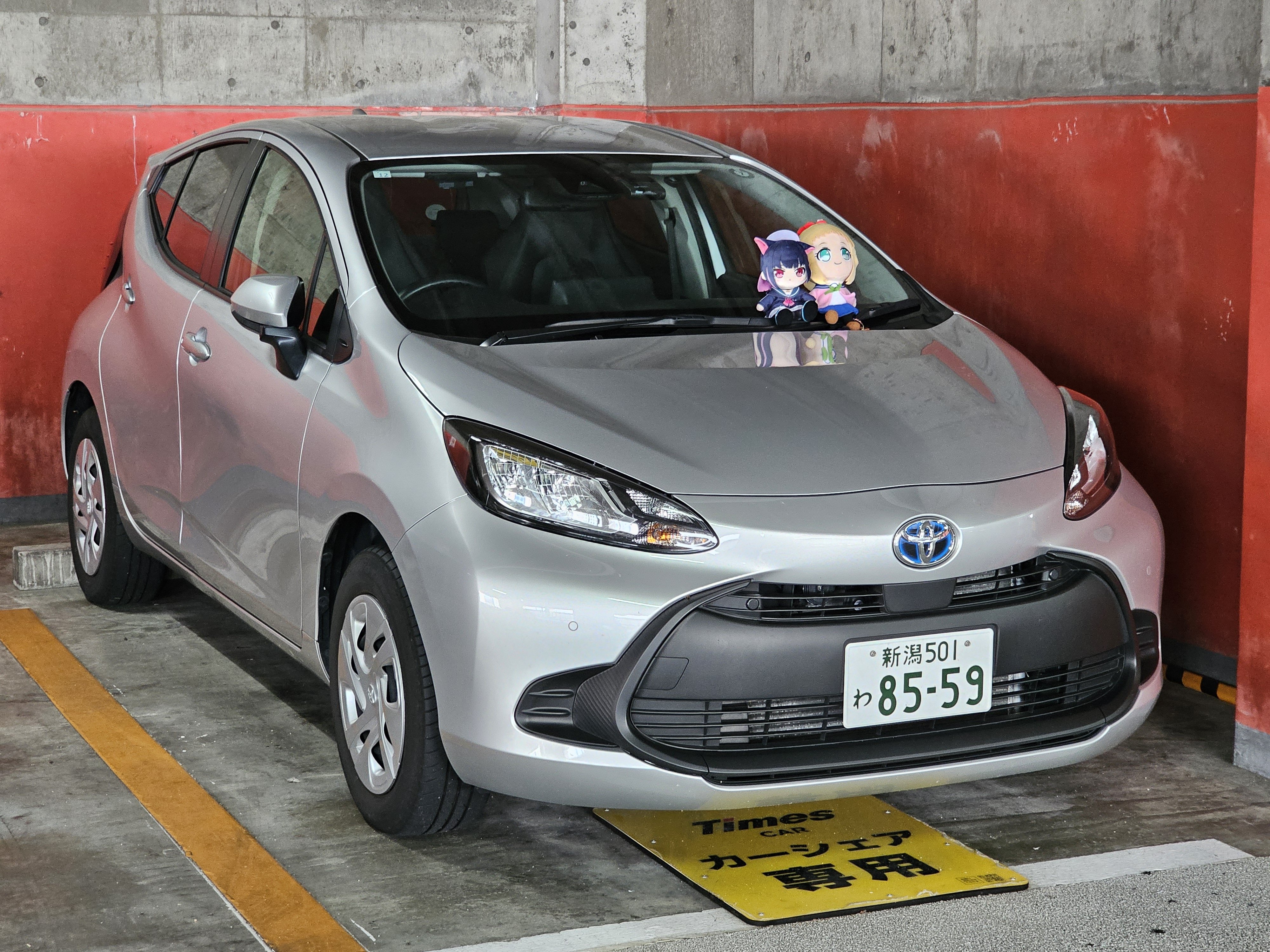 2024年5月から放置したカルピス 2024年5月から放置したカルピス 2024年5月から放置したカルピス