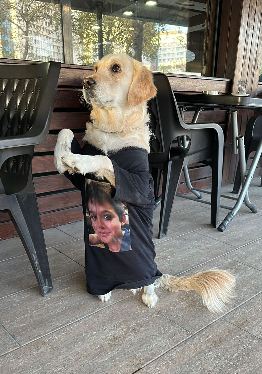 O da gelmiş 🥹
#SokaktaKatilİstemiyoruz