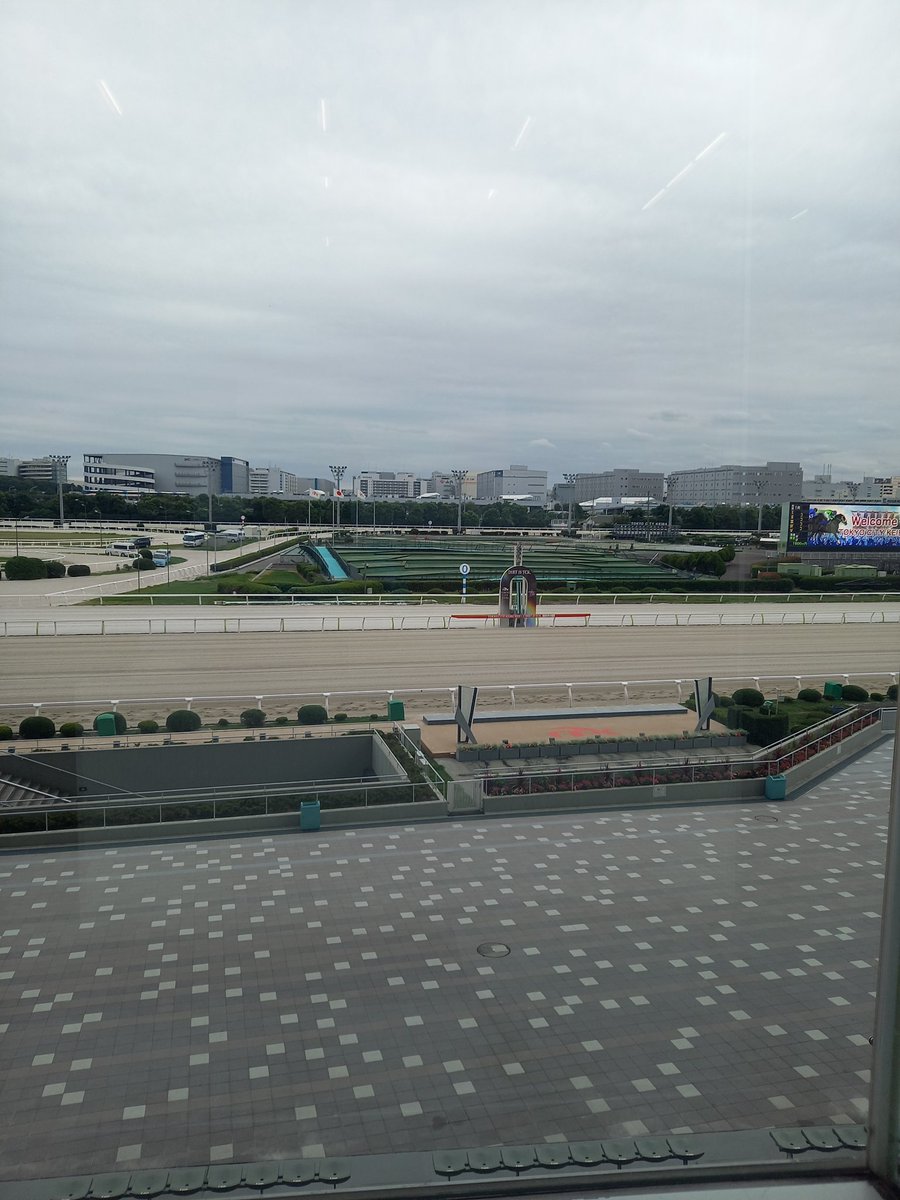 着いた着いたσ(￣＾￣)？
今日は転入馬との戦い。
