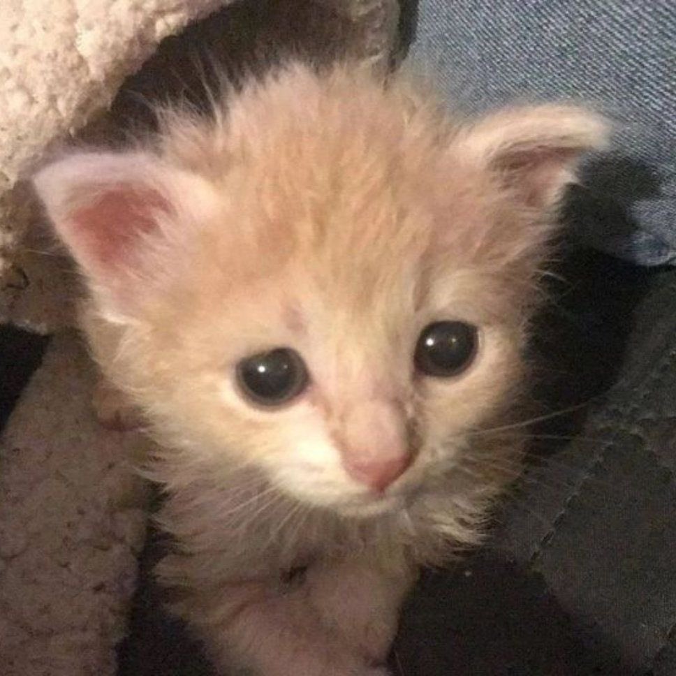 삼 (@gmountain_3) on Twitter photo 