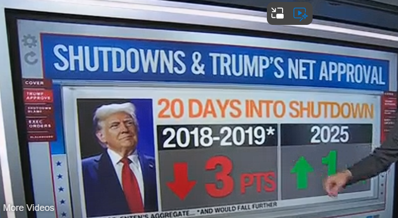 shepmjs's tweet image. 