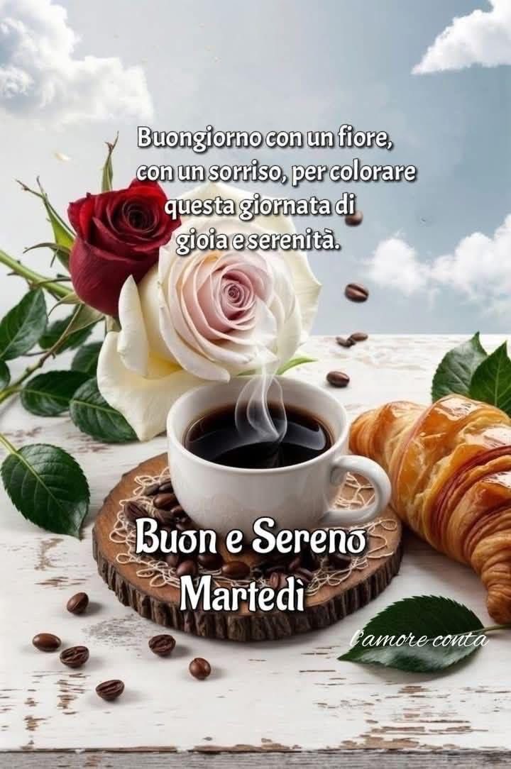 RITABIANCHi56 tweet media