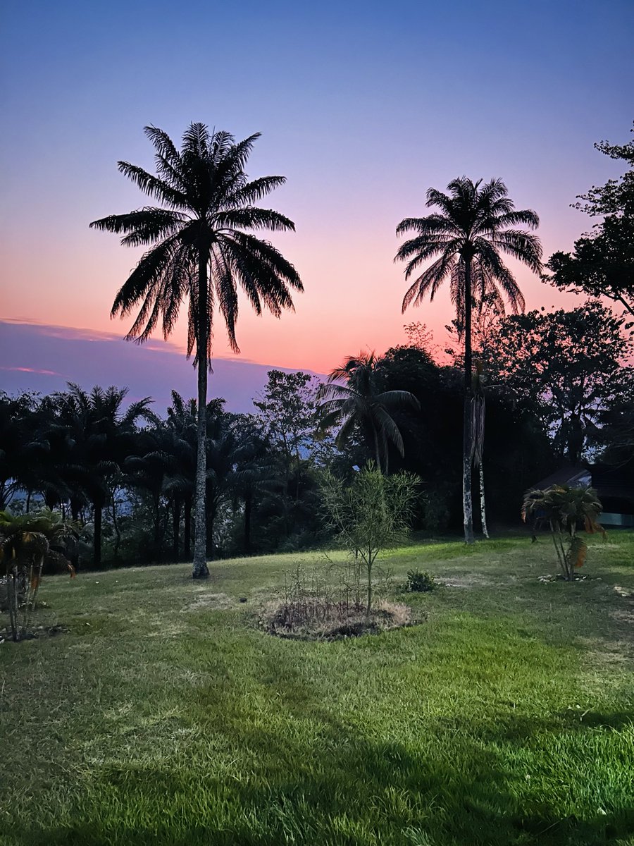 benjimk's tweet image. J'ai découvert #Kikwit en juin dernier : une ville paisible où l'on respire un air pur, bien reliée à Kinshasa par 530 km de belle route. 🛣️
J’ai pu voir une seule, grande et belle une grande usine qui y produit... du "whisky" 🥃, elle rachetant maïs et manioc aux agriculteurs…