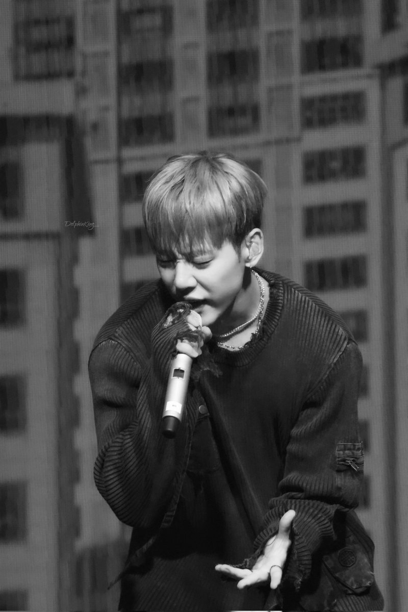 돌고래_Dkk🐬 tweet media