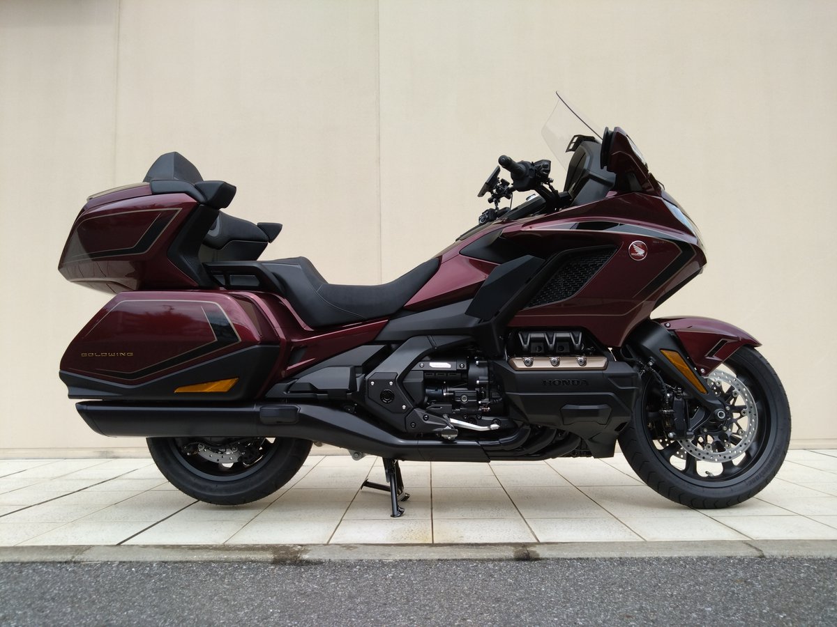 磊磊落落( らいらいらくらく)Gold Wing Tour B R M tweet media