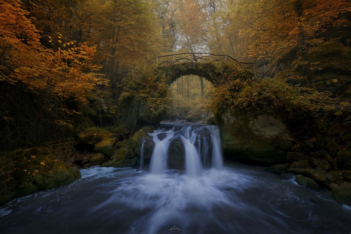 HugoVP55's tweet image. El año pasado pudimos disfrutar del otoño en el mejor momento a nuestro paso por Luxemburgo