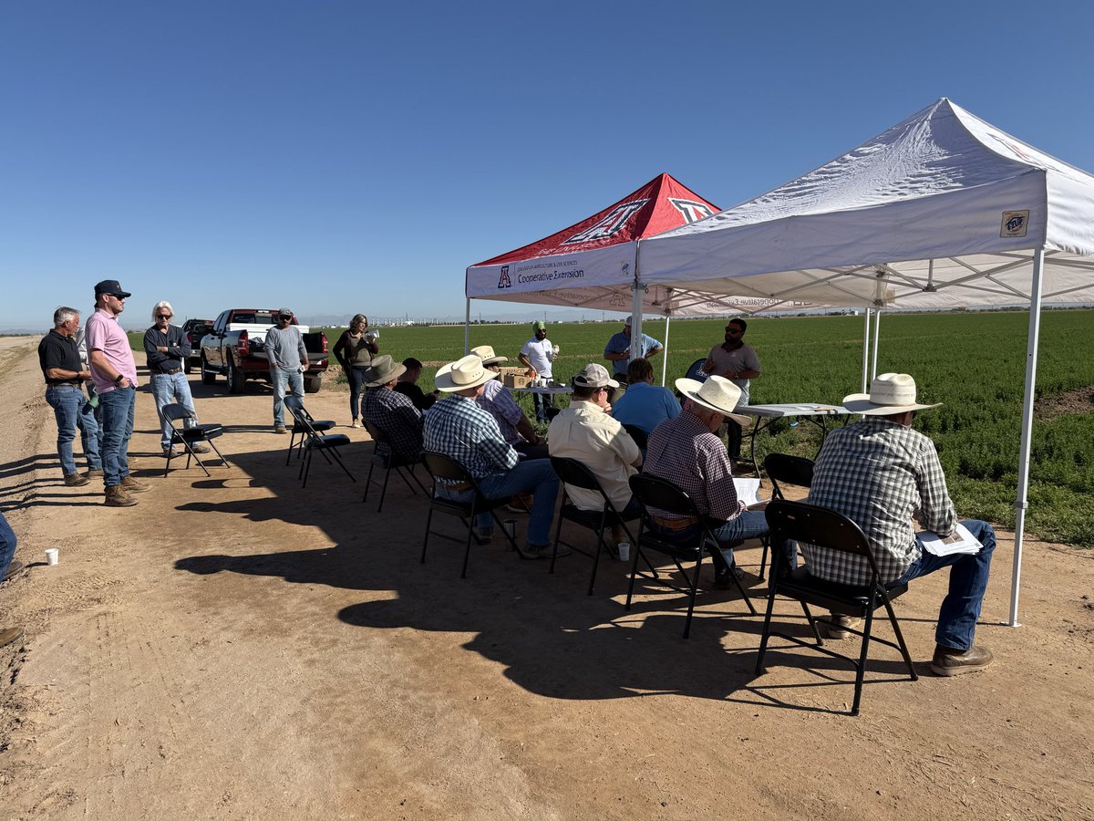 avikm90's tweet photo. The Forage Forum (Tent Talk) at Tierra Verde Farms in Casa Grande. Thanks to Paco Ollerton for hosting us.
Topic of discussions: IPM, latest irrigation technologies, herbicide options, soil health, and forage production cost estimations. https://t.co/Iqczyy4dui