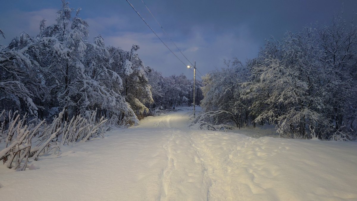 KnutRoger's tweet image. It's back #winter