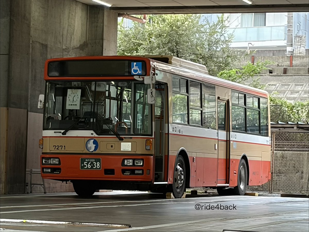 NORTH MECCA ギアギアの実（復刻） KEN06844.2-scaled.jpg