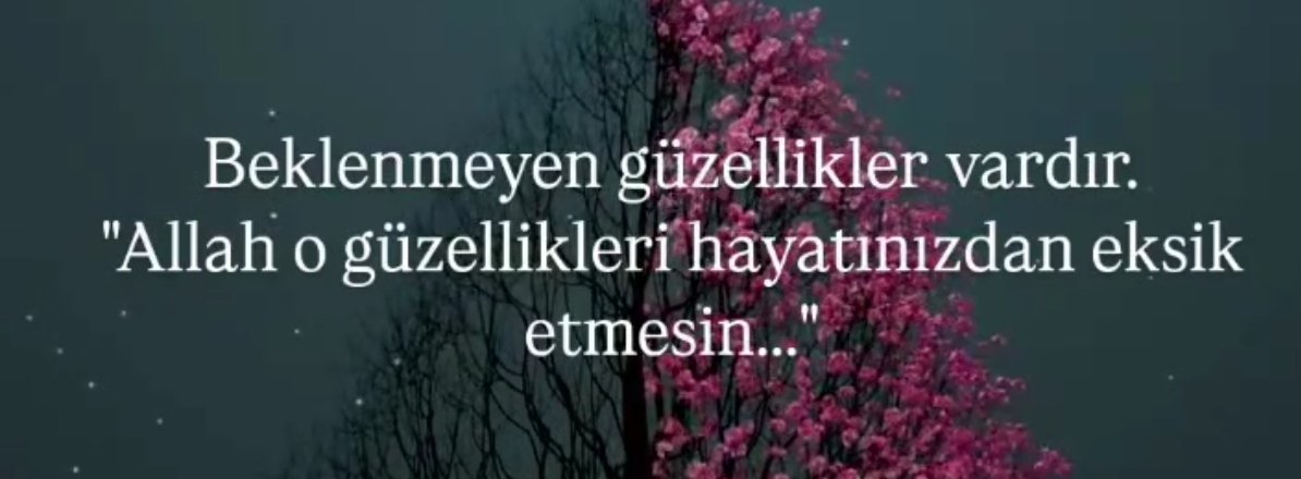 isa (@isauyaroglu) on Twitter photo 