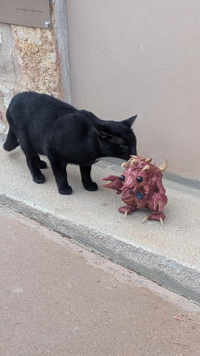 IOHK_Charles's tweet photo. CrawJu paid homage to Poseidon https://t.co/FNoqgpAUV2