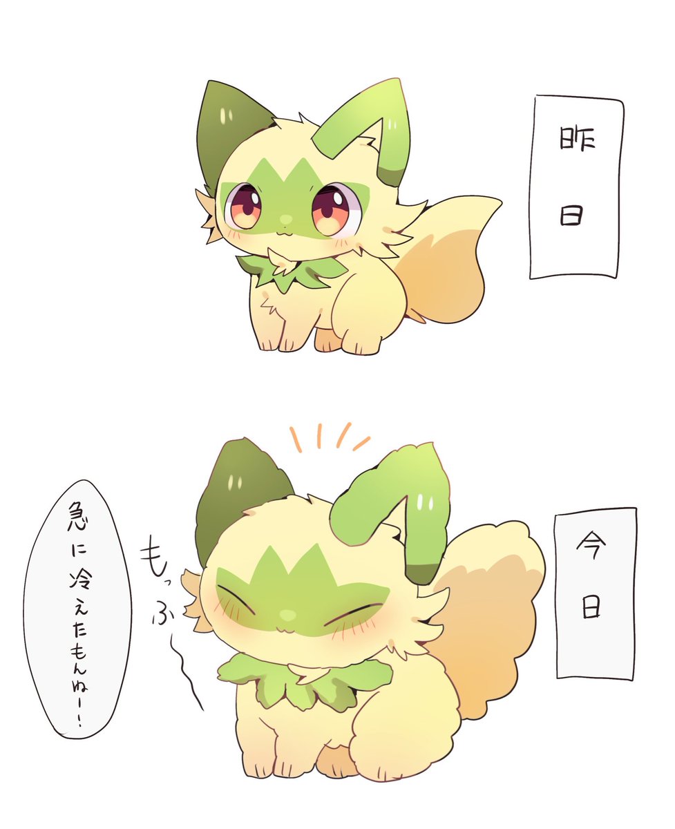 急に寒くなった❄️