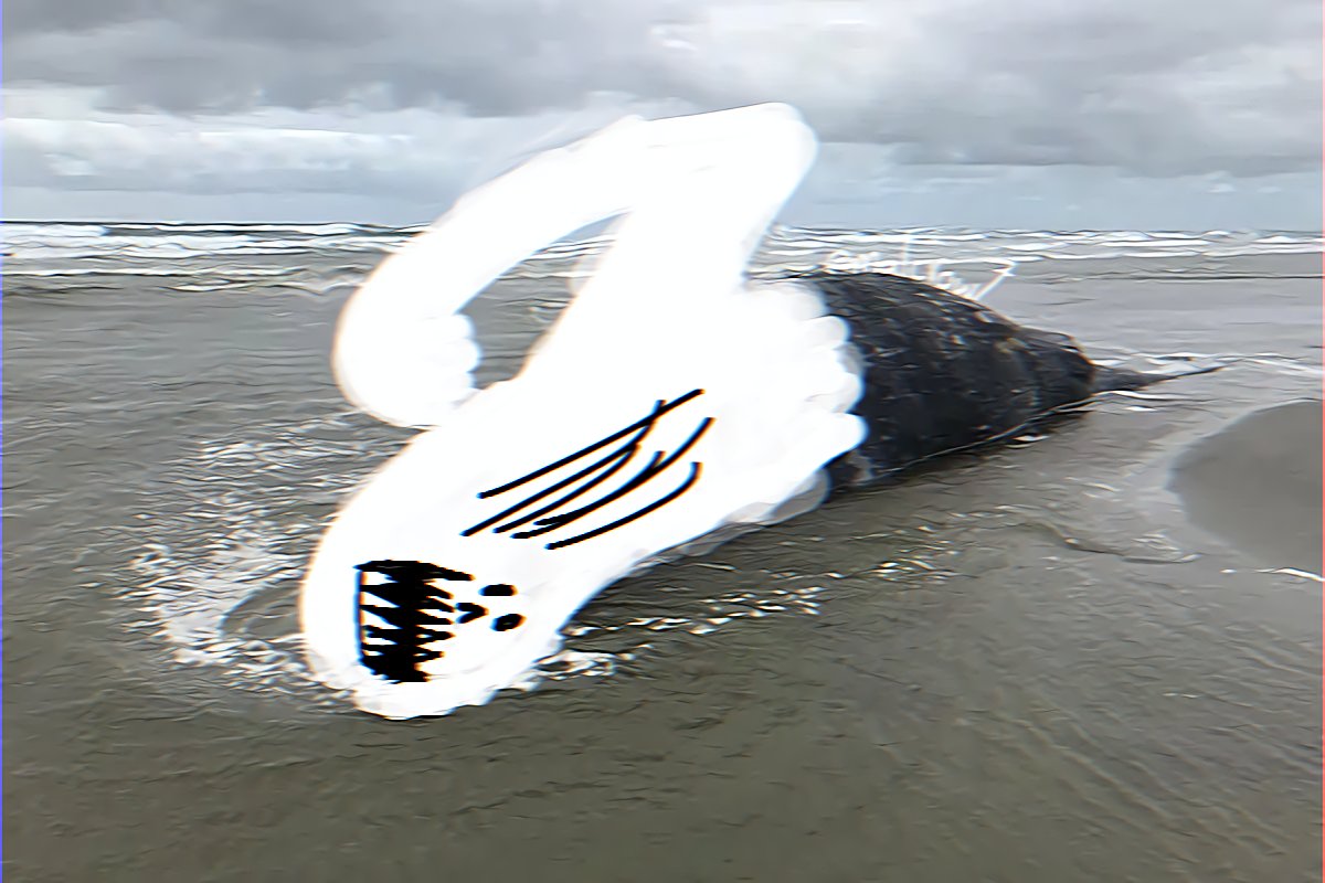 Duisito102530's tweet image. Whale Man @Malcrow7 #Whale #Cryptozoo
