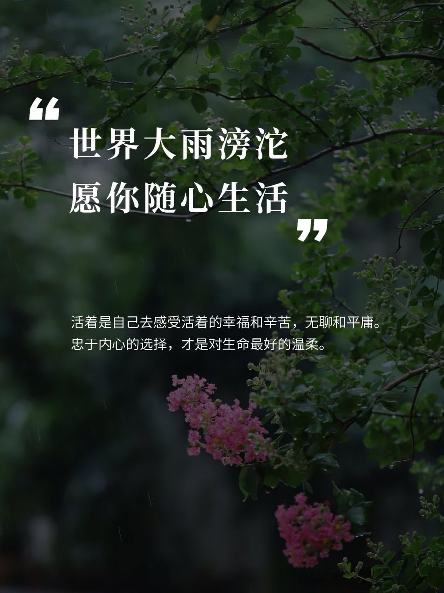 web3a99's tweet image. 时隔40天你有没有在做呢
现在的零撸就是嘴撸 
和做dc空投
不存在测试网 
真正的工作室就是弄很多推特
用模拟回复 模拟发帖 
然后去各种各样的kol下面自动回复
今年嘴撸就是之前的测试网
今年嘴撸的人基本都是kol和工作室发财
我之前写过一篇文章教你怎么起号嘴撸
其实嘴撸的人工资很高的…