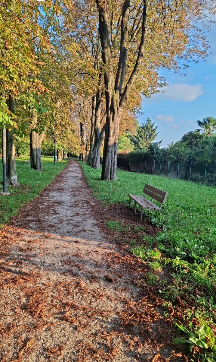 Solo noi possiamo cambiare ciò che desideriamo.
Nessuno può dirci cosa è giusto e cosa è sbagliato,ma nel frattempo non allontaniamo chi rende la nostra Vita più luminosa 🍂