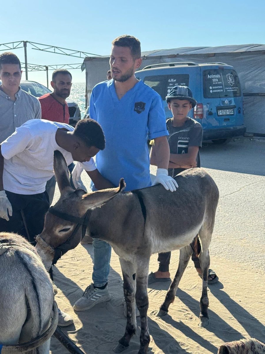 RimaHas's tweet image. Dr. Muath Abu Rukbeh le dernier vétérinaire de Gaza a été assassiné par Israël à Jabalia.