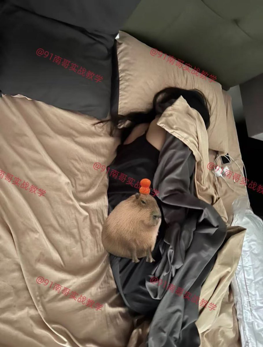 如果你不知道自己的问题在哪，你就永远解决不了问题！
遇到心仪的妹子，就快速拿下！

咨询教学或观看更多学员精彩实战案例请关注👇
推特主号👉：<a href="/nange555/">南哥约炮实战教学（全网唯一）</a>
电报群✈️：t.me/nange91yuepao
🔥全网最高效约炮教学，导师一对一实战指导，包学会包约到🔥
#约炮教学 #实战指导 #速约技巧 #思维提升