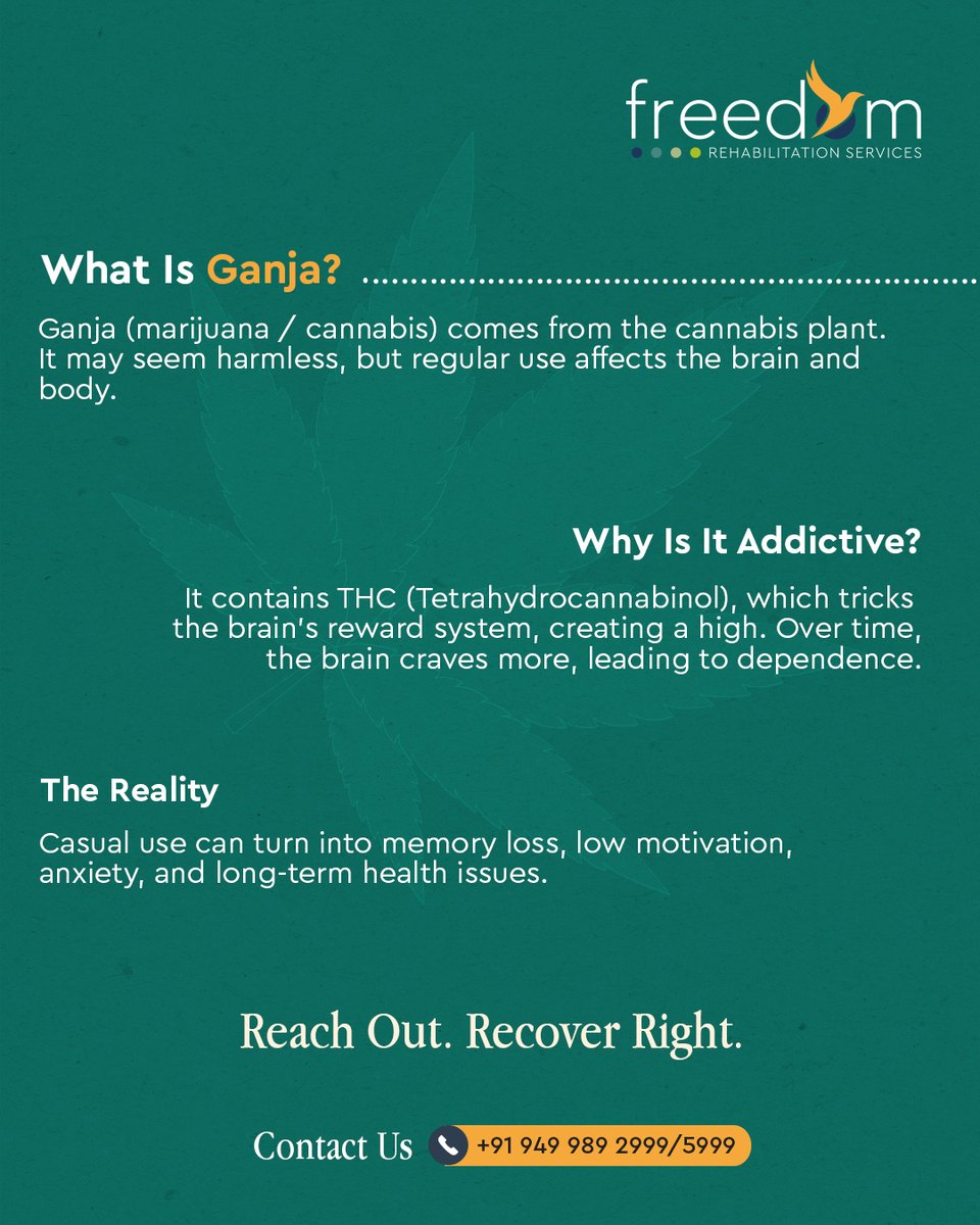 Freedom_Rehabs's tweet image. Ganja might feel harmless at first, but every high leaves a deeper mark.
What begins as casual use can lead to dependence, anxiety, and memory decline.
#ganjaawareness #cannabisrecovery #addictionhelp #mentalwellness #freedomfromaddiction #freedomrehab
