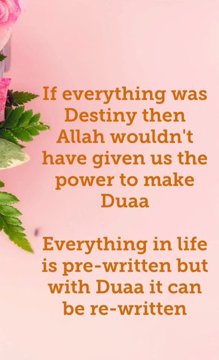 Nadeemwebs (@nadeemwebs1) on Twitter photo 