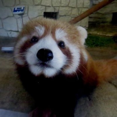 kyl22222's tweet image. #NewProfilePic