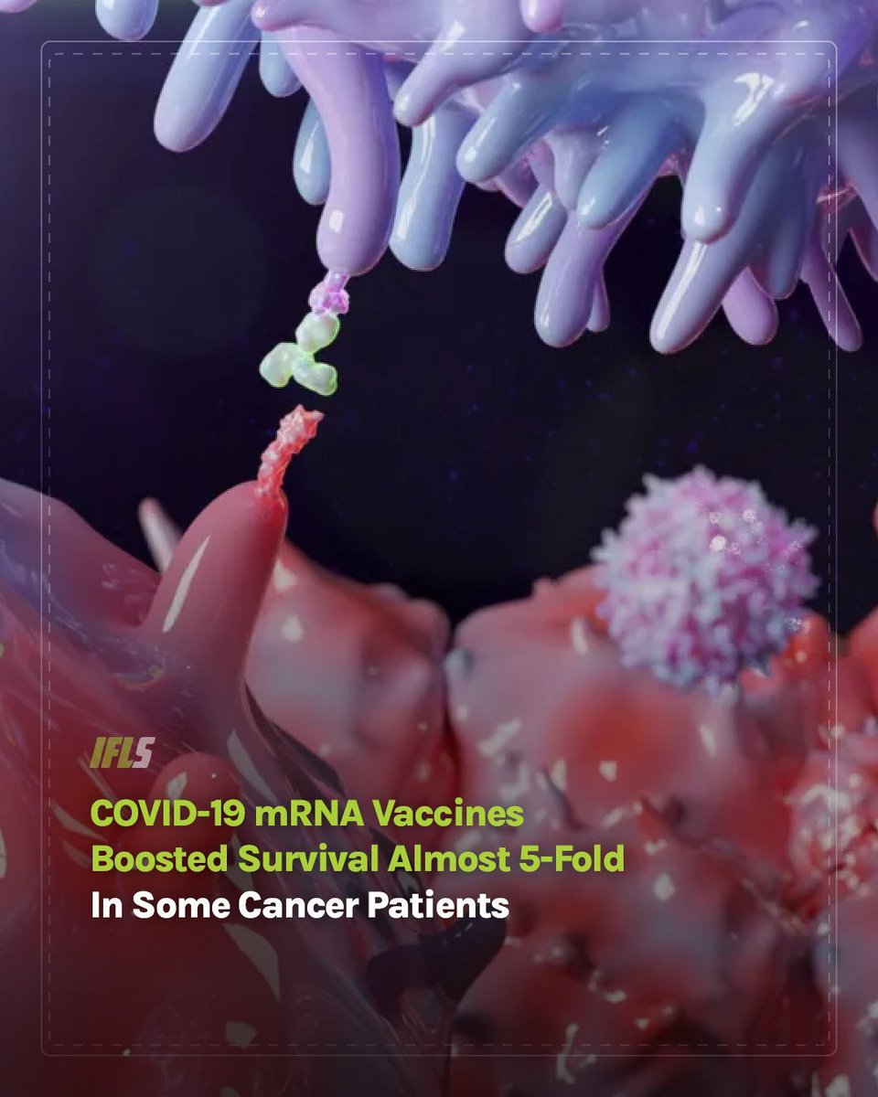 Getting a COVID shot within 100 days of starting immunotherapy meant patients were twice as likely to be alive after three years. 

👉 iflscience.com/covid-19-mrna-…