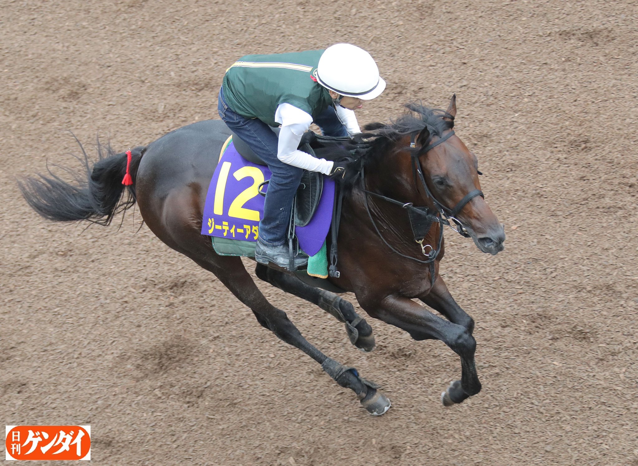 デュフィ「ケンタウロスたちと競技　馬の品定め」木版画　207部限定　1957年製 ケンタウロスたちと競技：馬車 - アート・絵画の販売、買取なら
