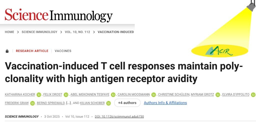 ACIR_org's tweet image. In PBMC samples from 3x SARS-CoV-2 mRNA-vaccinated individuals, Kocher and Drost et al. used spike-specific dextramers to enrich CD8+ T cells for single-cell multiomics bit.ly/4n5mr4s @UniFAU
